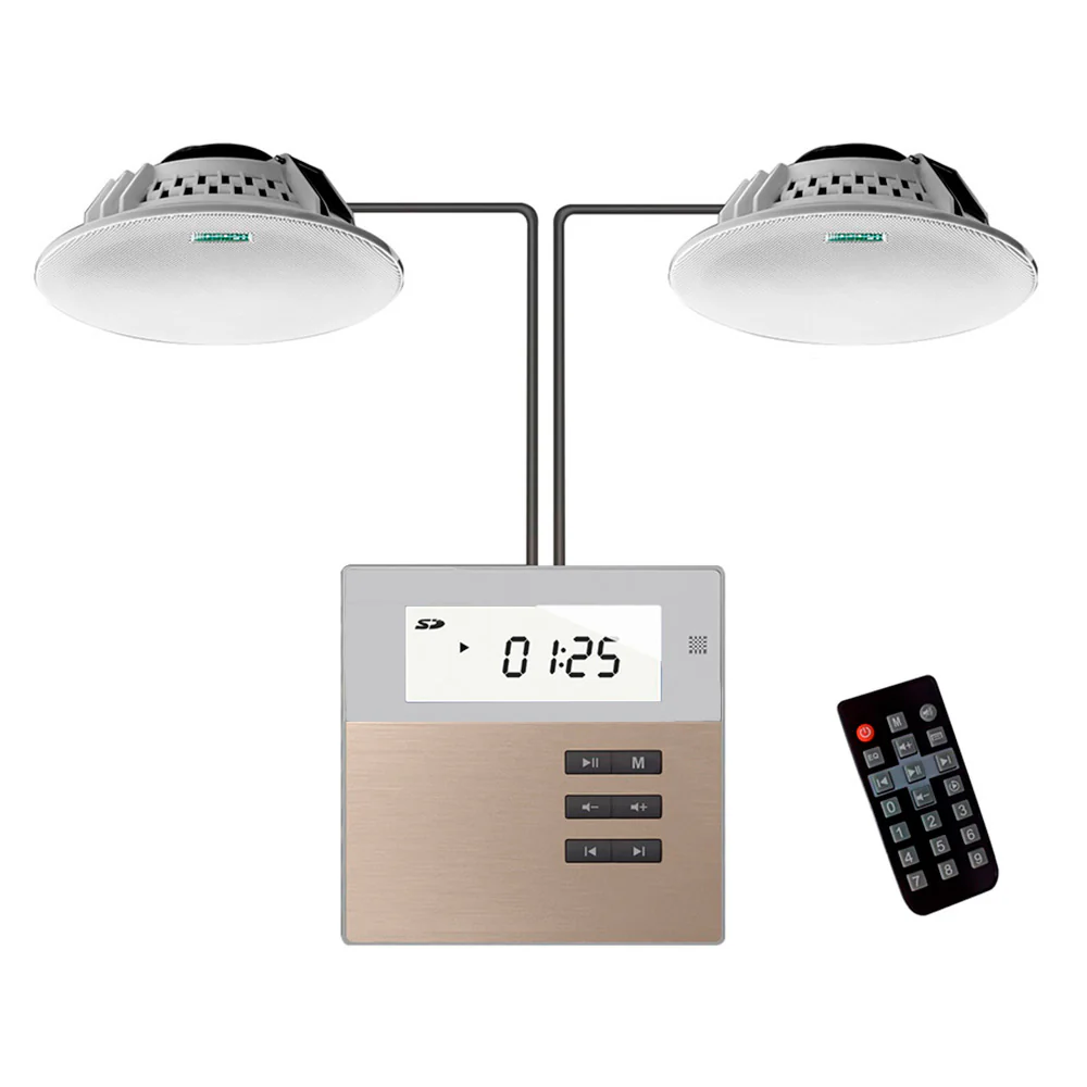 DSPPA Smart Home on Wall Music Amplifier Kit