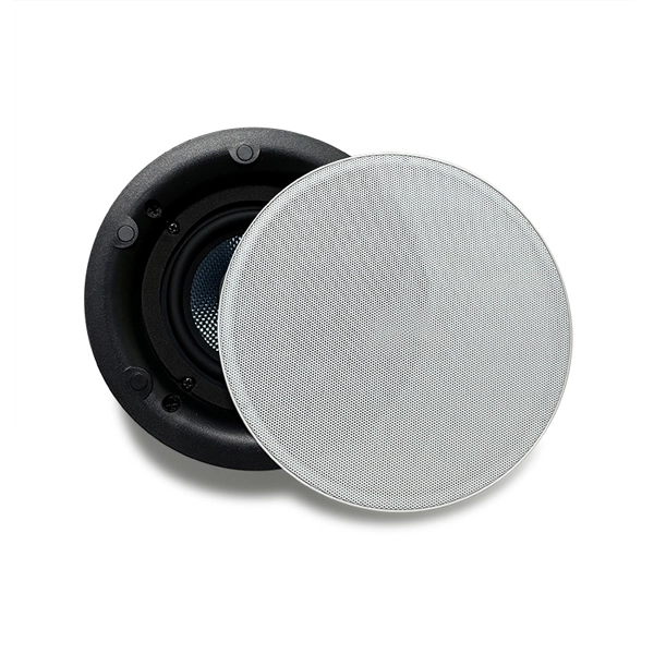 DSPPA 2×30W WiFi Active Ceiling Speaker System