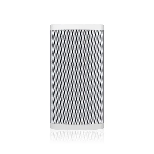 DSPPA 30W Outdoor Column Speaker