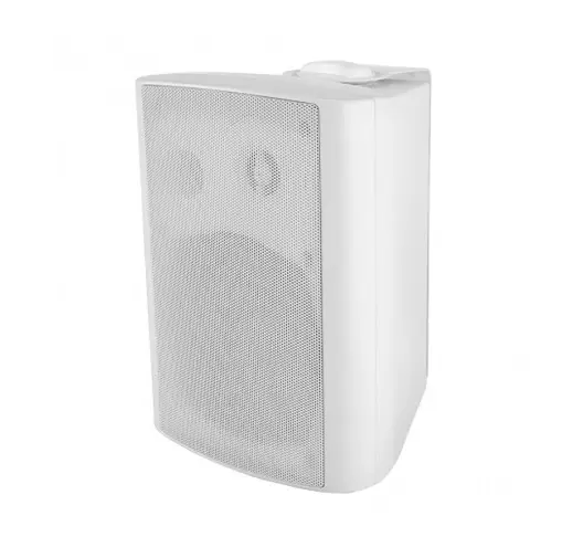 [AM-502] Aiwa Wall Speaker 8Ω 30W 
