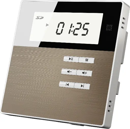 [DM835W] DSPPA Smart Home on Wall Music Amplifier