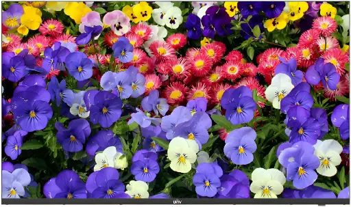 [MW3255-F-V2] Uniview 55 Inch LED UHD Monitor